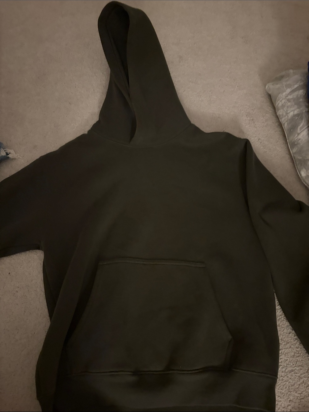 Aritzia Olive Green Hooded Sweatshirt